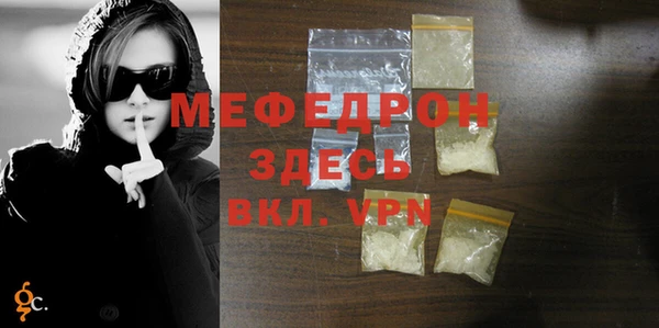 мдпв Бородино