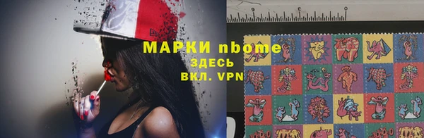 мдпв Бородино
