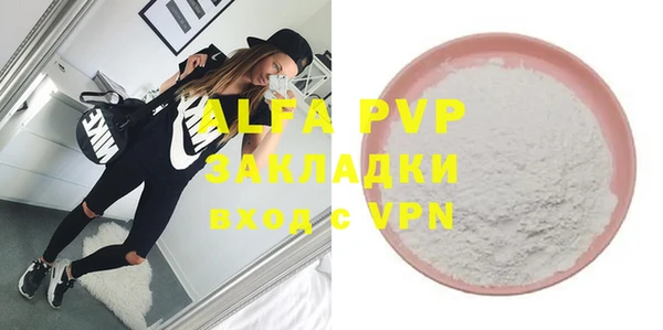 мдпв Бородино