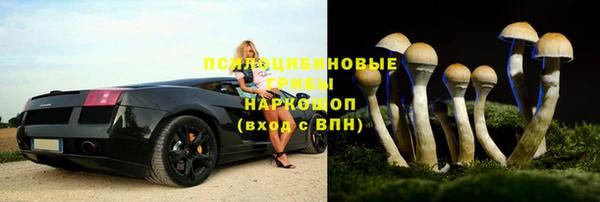 мдпв Бородино