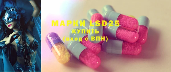 мдпв Бородино