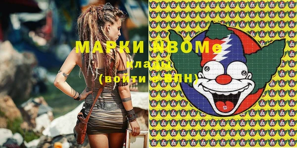 мдпв Бородино