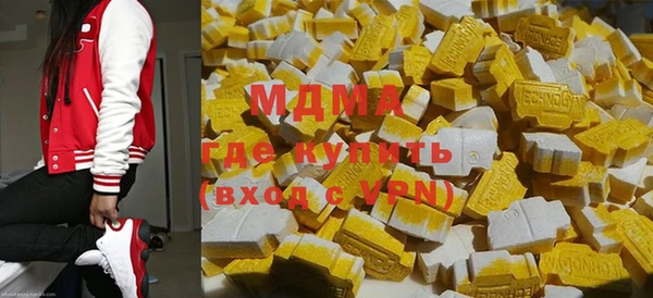 мдпв Бородино