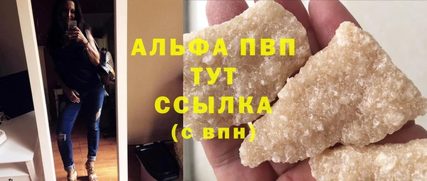 мдпв Бородино