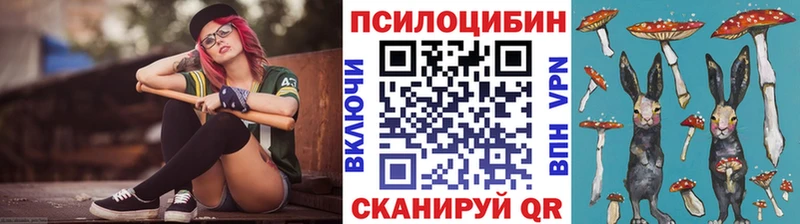 Купить где  Москва  Галлюциногенные грибы мицелий 